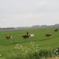 IMG_1010917