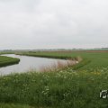 IMG_1010922