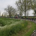 IMG_1010949