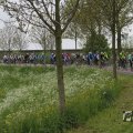 IMG_1010950