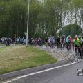 IMG_1010969