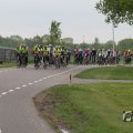 IMG_1010981
