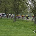 IMG_1010991