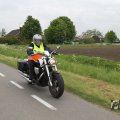 IMG_1011121