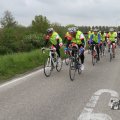 IMG_1010612
