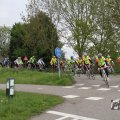 IMG_1010616