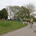 IMG_1010617