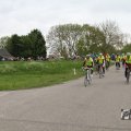 IMG_1010619