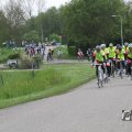 IMG_1010631