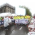IMG_1016541