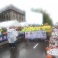 IMG_1016542