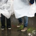 IMG_1017580