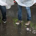 IMG_1017582