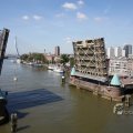 IMG_414555