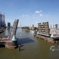 IMG_414556