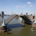 IMG_414566
