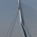 IMG_414572