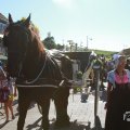 IMG_1045832