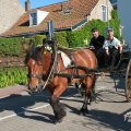 IMG_1045850