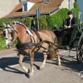 IMG_1045854