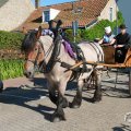 IMG_1045859