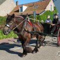 IMG_1045863