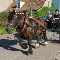 IMG_1045867