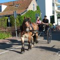 IMG_1045870