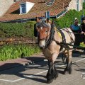IMG_1045875