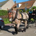 IMG_1045876