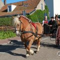 IMG_1045880