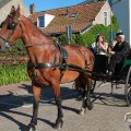 IMG_1045887