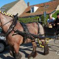 IMG_1045901
