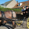 IMG_1045902