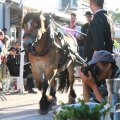 IMG_1046491