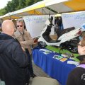 IMG_1018803