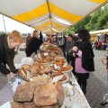 IMG_1018807