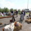 IMG_1018821
