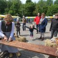 IMG_1018826