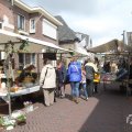 IMG_1018522