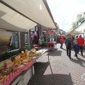 IMG_1018599