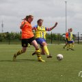 IMG_1019101