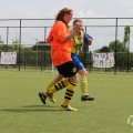 IMG_1019106