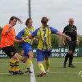 IMG_1019113