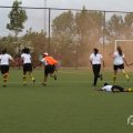 IMG_1019356