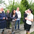 IMG_1019505