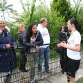 IMG_1019506