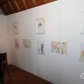 IMG_1019593