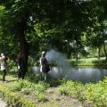IMG_1019656
