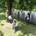 IMG_1019665